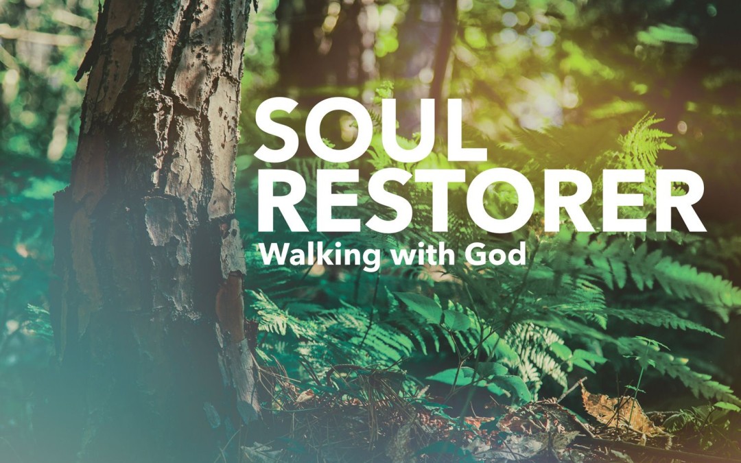 Soul restorer